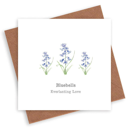 The Meaning of Flowers – What Different Blooms Symbolise