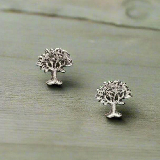 Sterling Silver Stud Earrings Gift Boxed for Her Friendship Gift - Crumble and Core