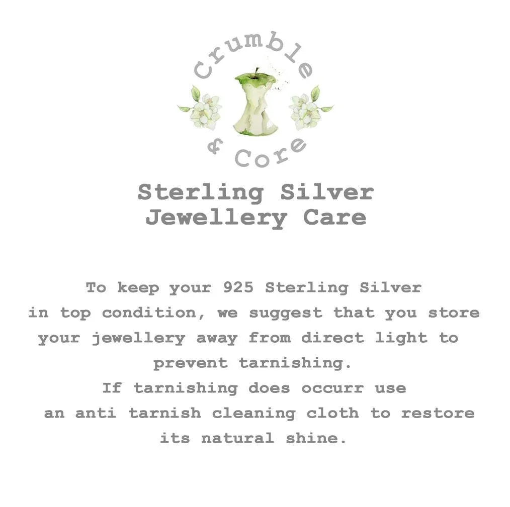 text and an illustration of a silver apple with flowers, accompanied by the text "Crumble & Core Sterling Silver Jewellery Care".