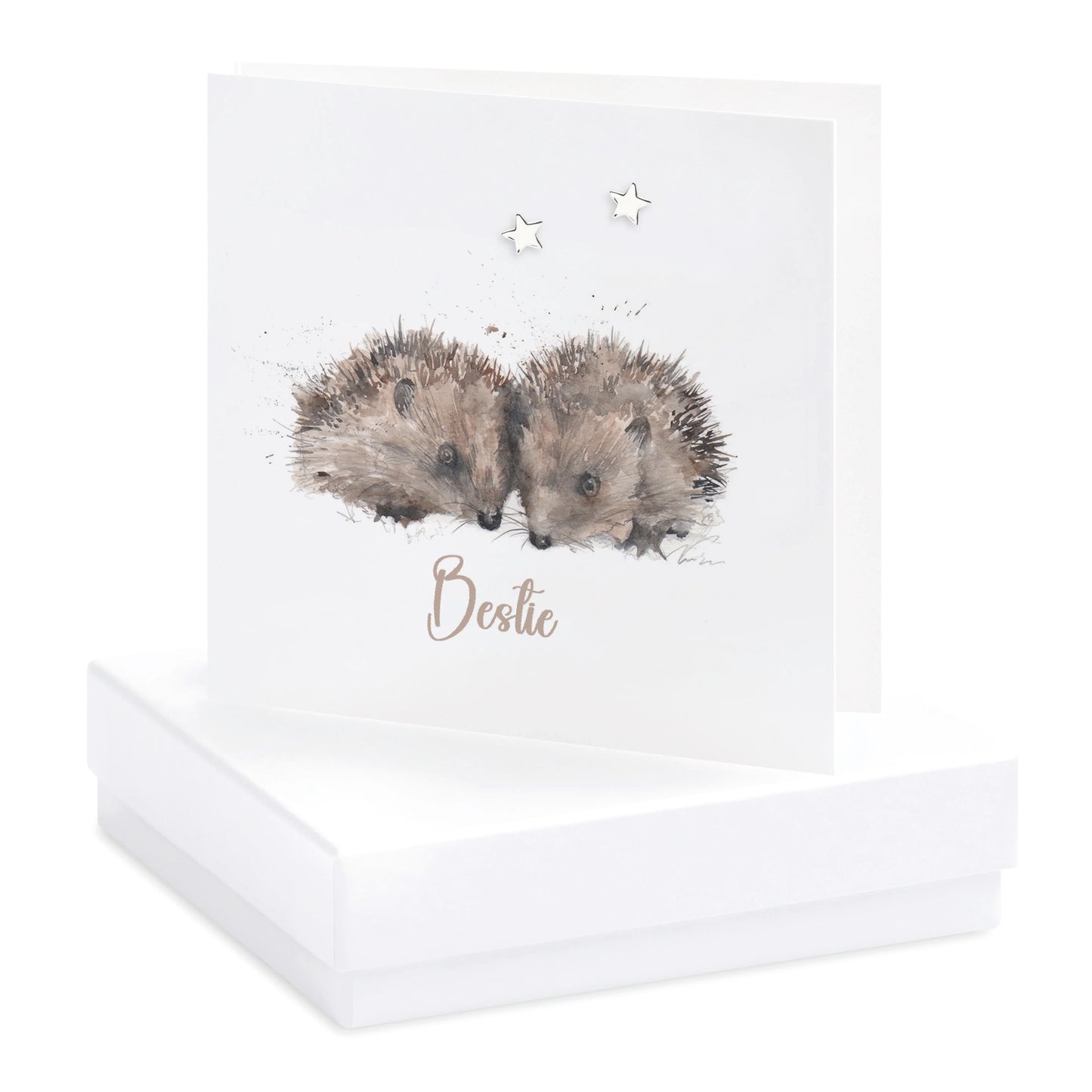 Boxed greeting card with watercolor hedgehogs, 'Bestie' text, and star earrings gift