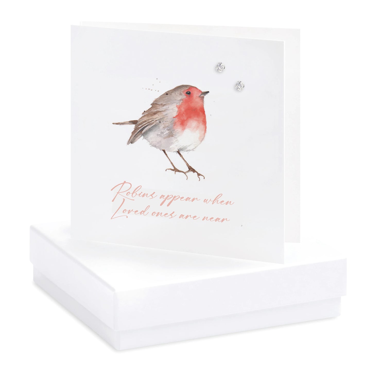 Handcrafted greeting card with robin illustration, silver stud earrings and gift box