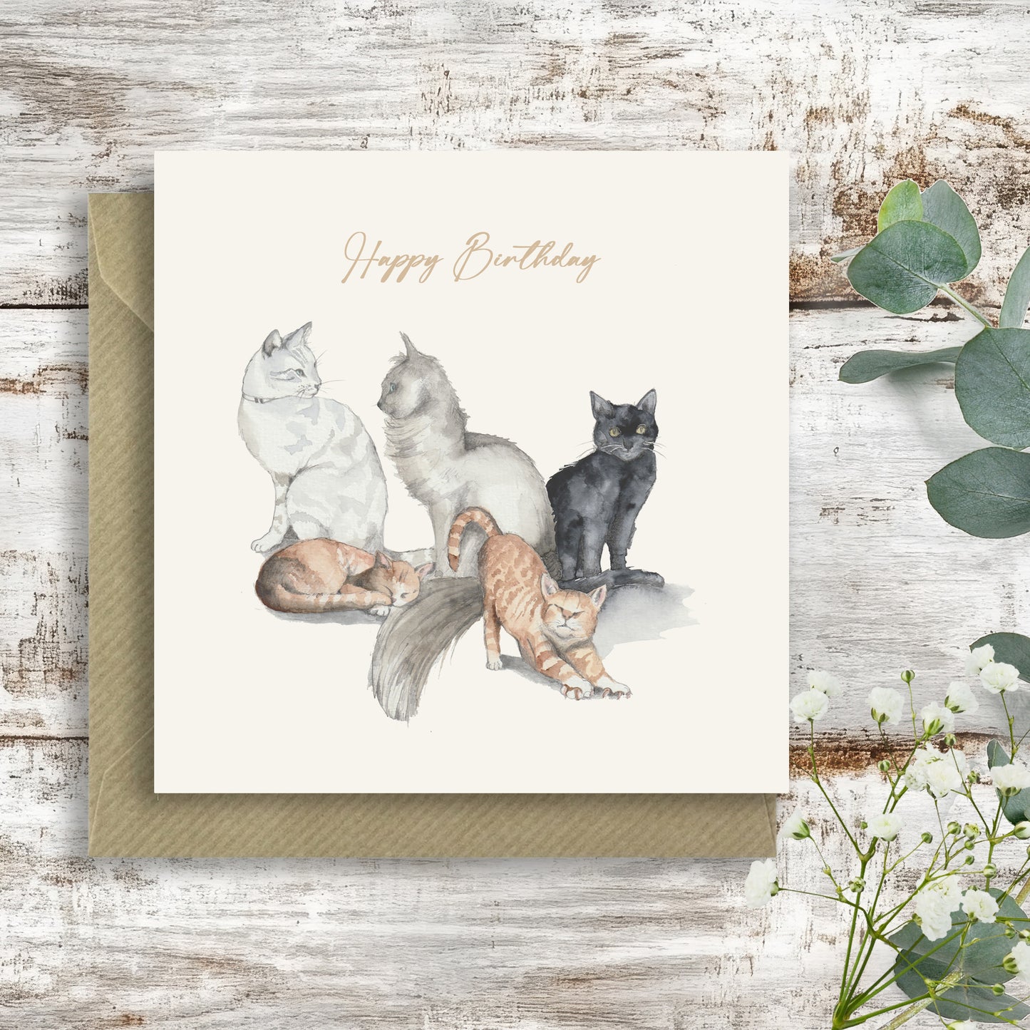 Cats – Luxury Birthday Greeting Card with Kraft Envelope Included